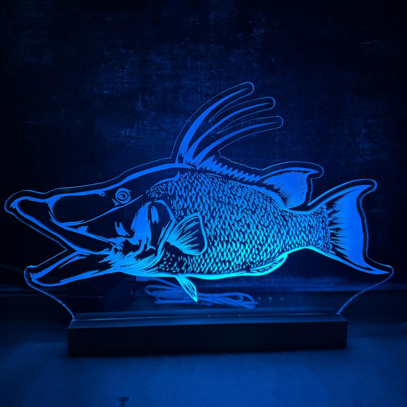 LED Fish Sign (St. Pete Open)