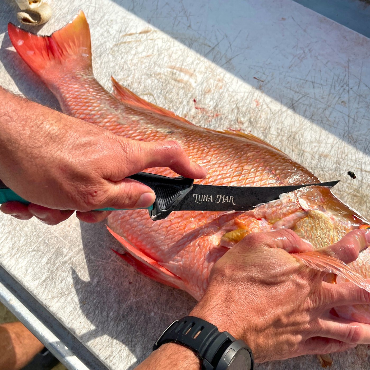 Custom Folding Fillet Knife by Toadfish