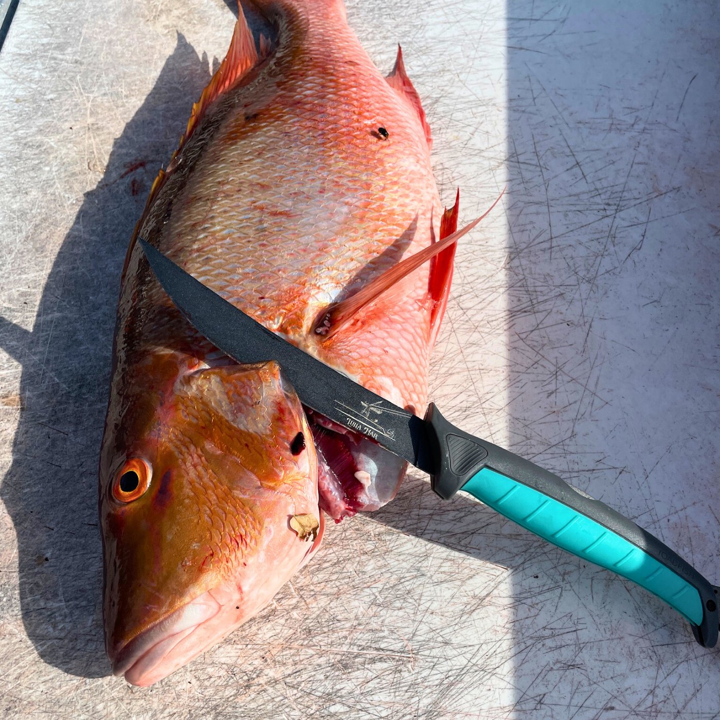Custom Folding Fillet Knife by Toadfish