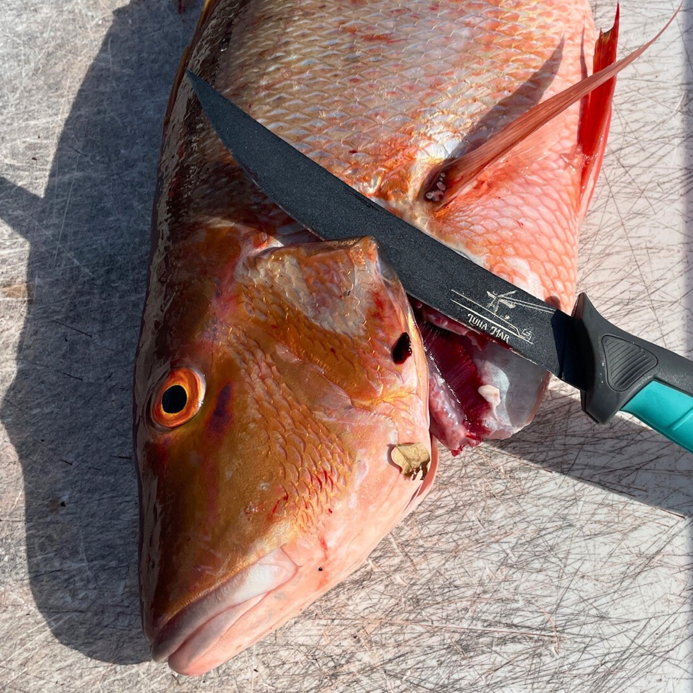 Custom Folding Fillet Knife by Toadfish