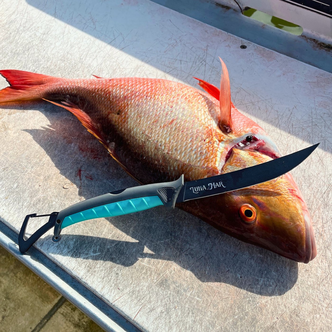 Custom Folding Fillet Knife by Toadfish