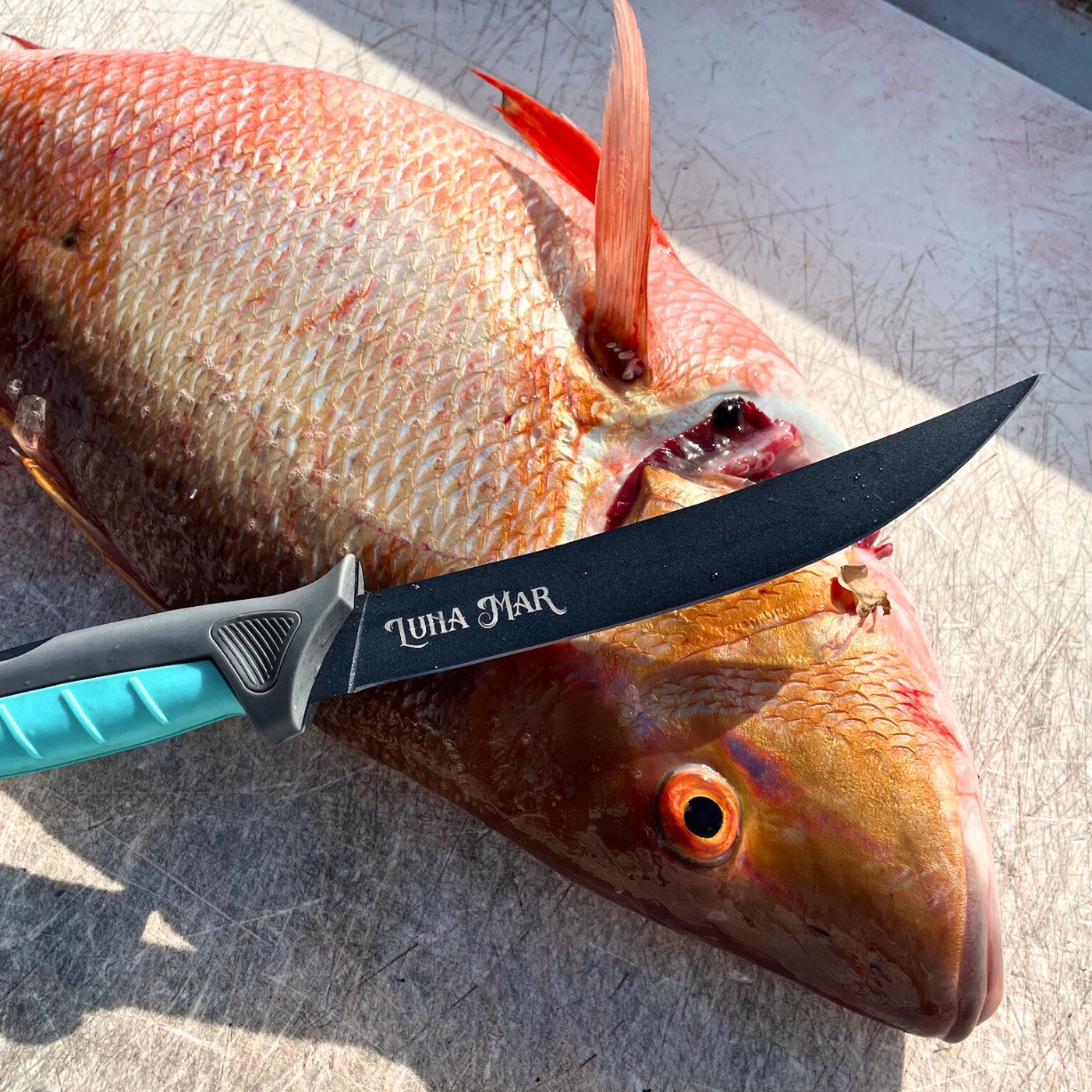 Custom Folding Fillet Knife by Toadfish