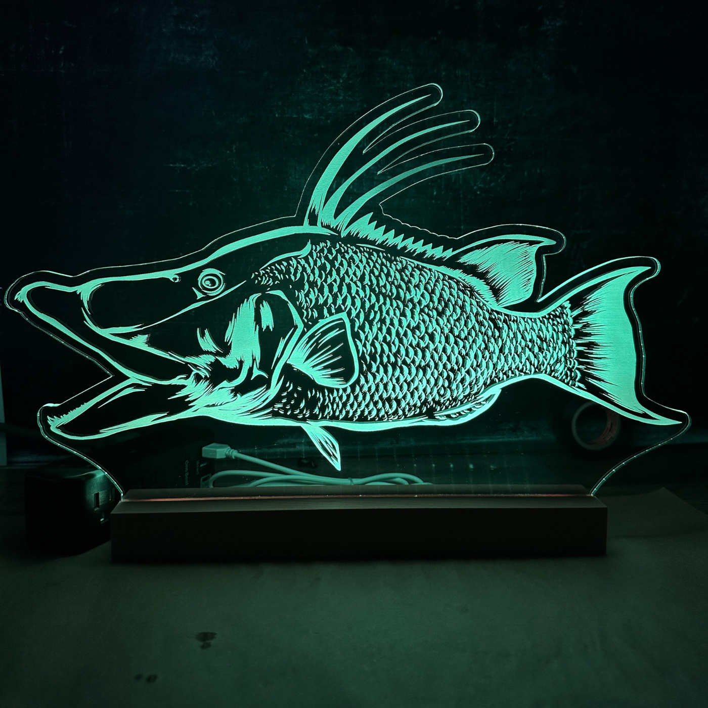 LED Fish Sign (St. Pete Open)