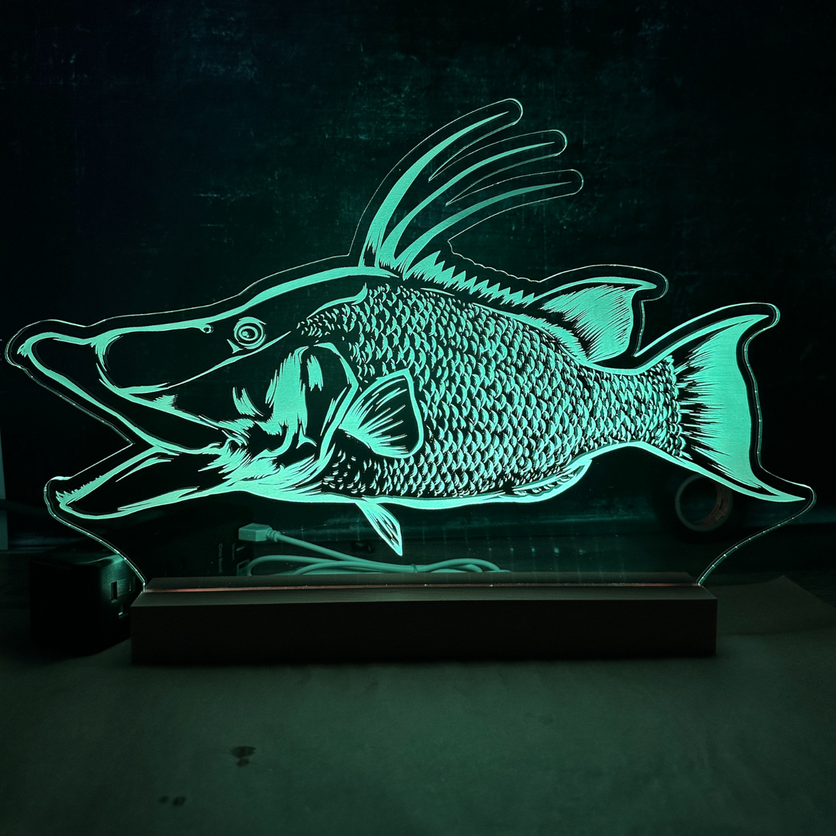 Custom LED Fish Sign – Hand-Drawn, Remote-Control Light Display