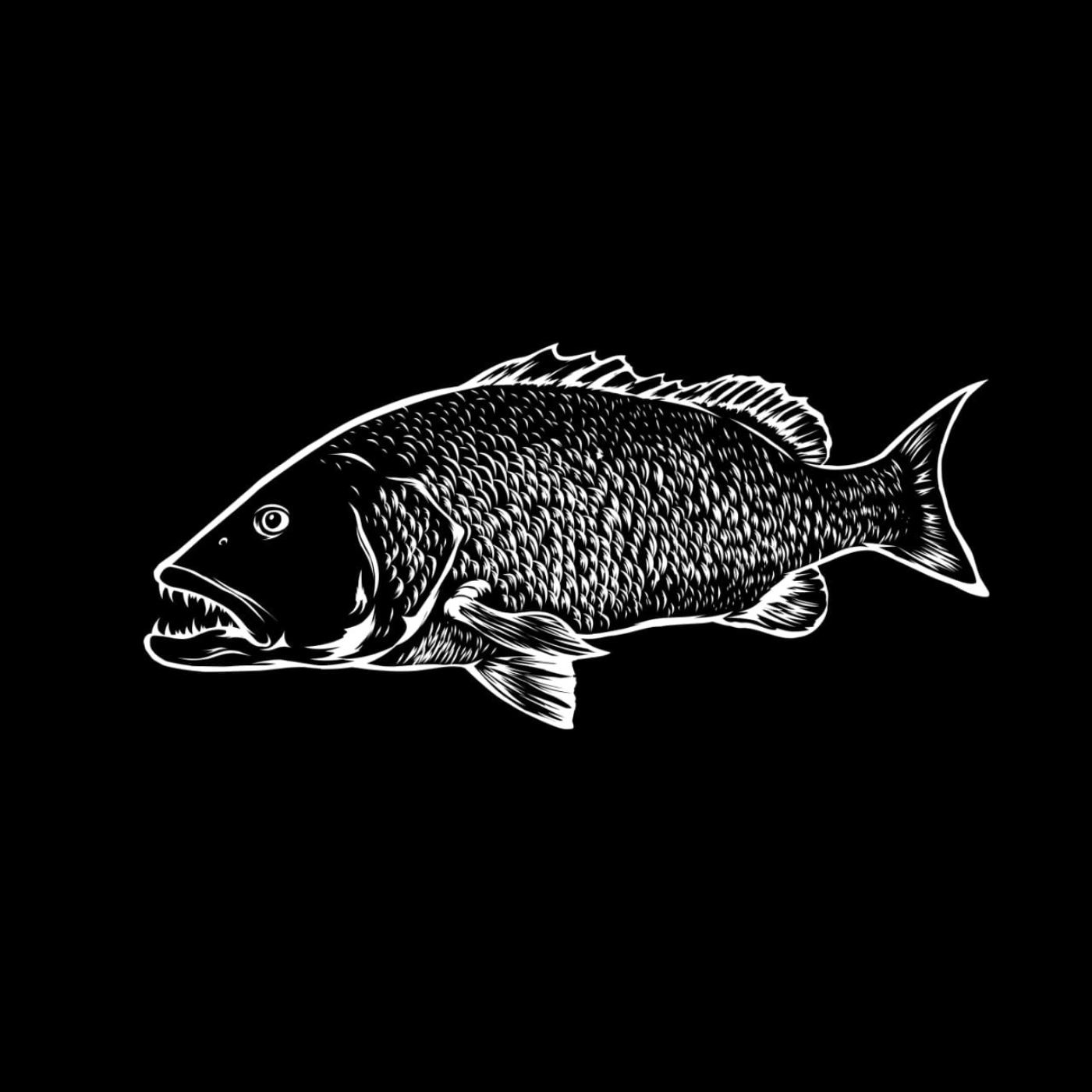 LED Fish Sign (St. Pete Open)