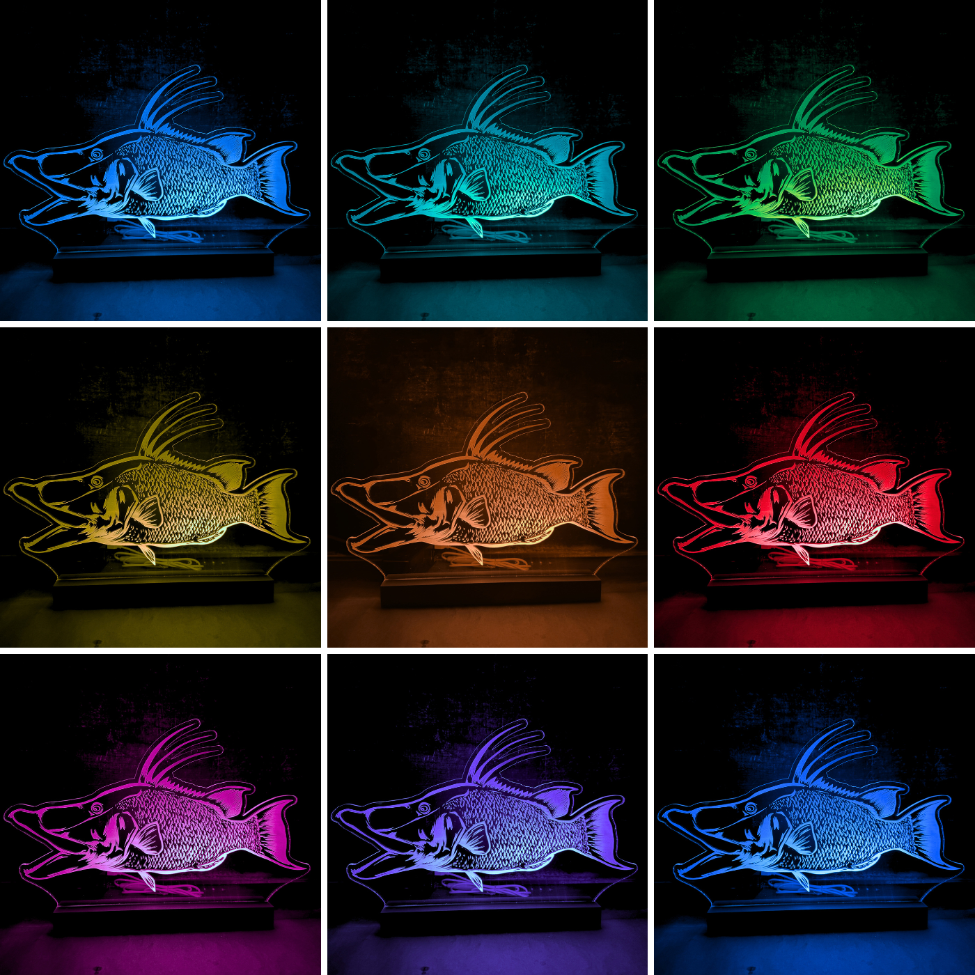 LED Fish Sign (St. Pete Open)