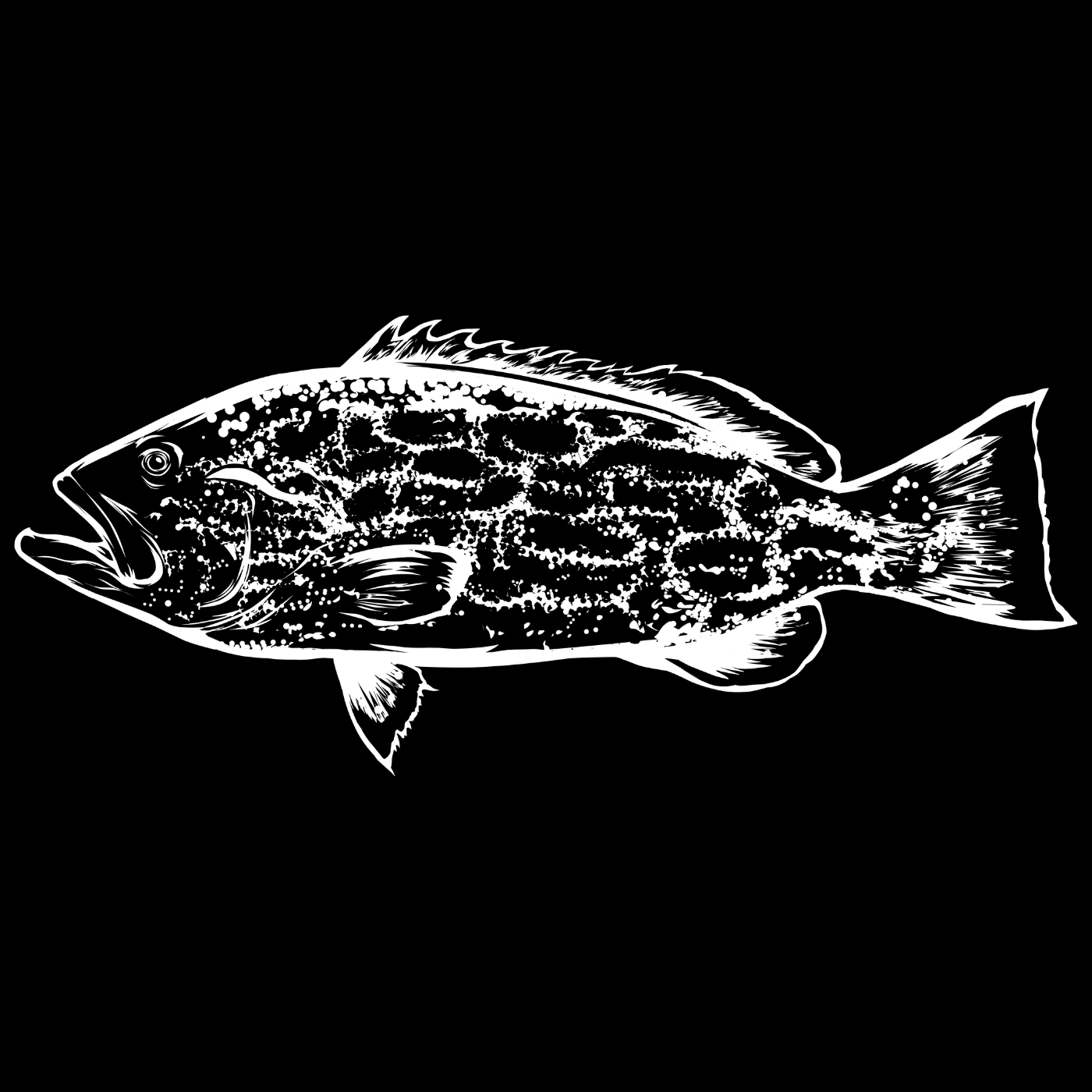 LED Fish Sign (St. Pete Open)